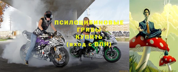 мяу мяу мука Алексеевка