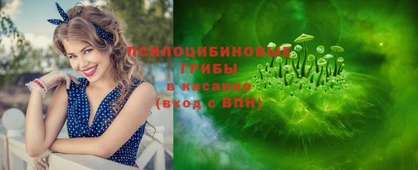 apvp Алексин