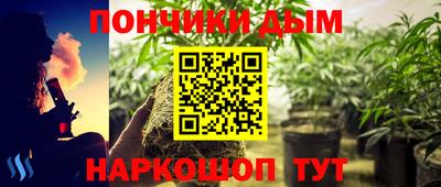 a pvp Можга