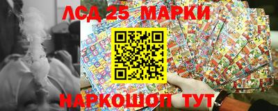 a pvp Можга