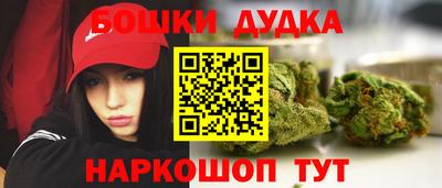 a pvp Можга