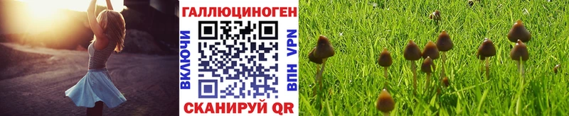 Галлюциногенные грибы прущие грибы  Невинномысск 