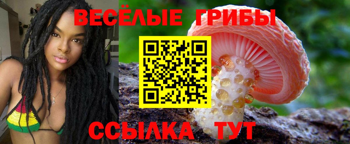 Псилоцибиновые грибы GOLDEN TEACHER  Вход с VPN  Галлюциногенные грибы ЛСД  Невинномысск 